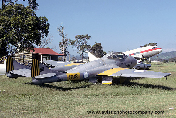 RAN 851 Squadron De Havilland Vampire T.55 N6-766 at the Chewing Gum Field Air Museum (1980)