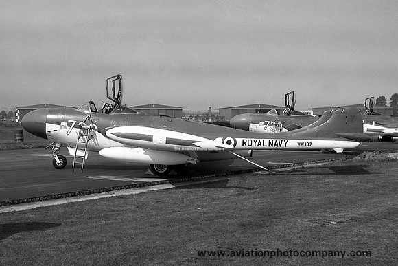 Royal Navy ADS De Havilland Sea Venom FAW.21 WW187/736