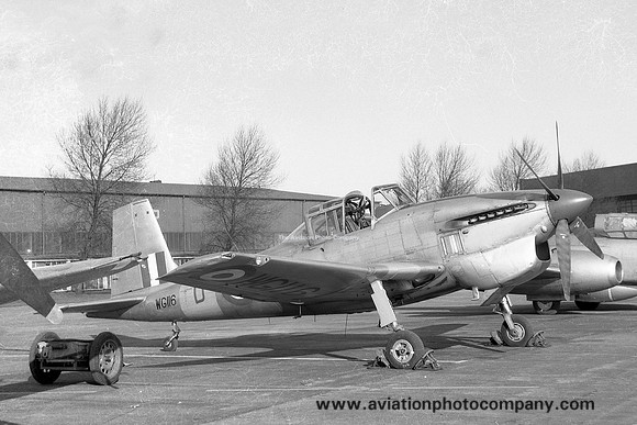 RAF 238 OCU Boulton Paul Balliol T.1 WG116/D (1958)