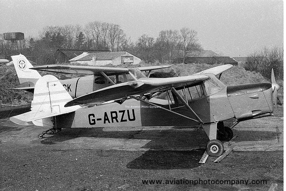 Beagle Terrier G-ARZU