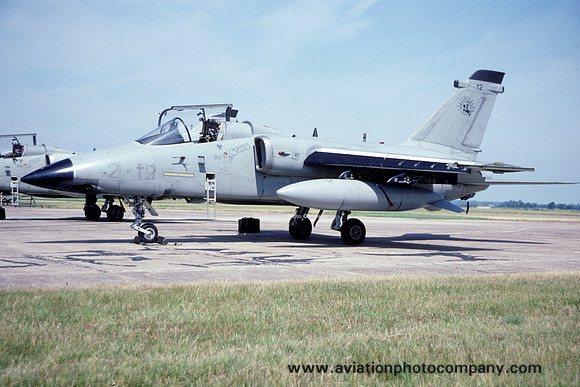 Italian Air Force 2 Stormo Aeritalia AMX MM7115/2-12 (1994)