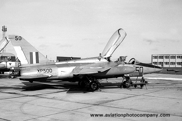 RAF 4 FTS Folland Gnat T.1 XP500/50 (1966)