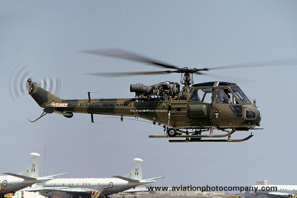 Royal Marines 3 CBAS Westland Scout AH.1 XP887 at RAF Luqa