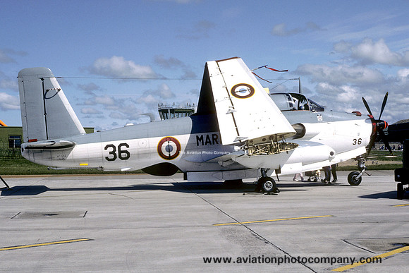 French Navy 6F Breguet Alize 36 at RAF Lossiemouth (1987)