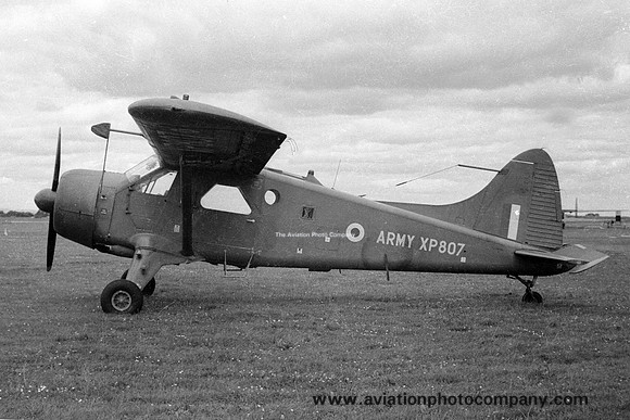 Army Air Corps 132 Flight DHC-2 Beaver AL.1 XP807 (1963)