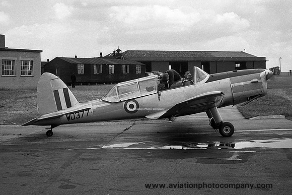 RAF 12 Air Experience Flight DHC-1 Chipmunk T.10 WD377 (1962)