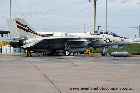 US Navy VF-201 Grumman F-14A Tomcat 162708/AF-101 (1991)