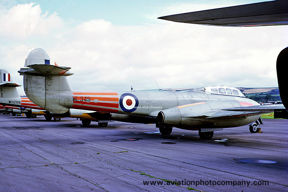 RAF 229 OCU Gloster Meteor T.7 WL349 (1971)