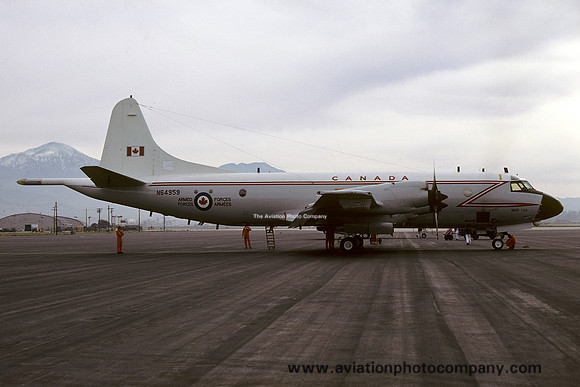 Canadian Air Force Lockheed CP-140 Aurora N64959 (1980)