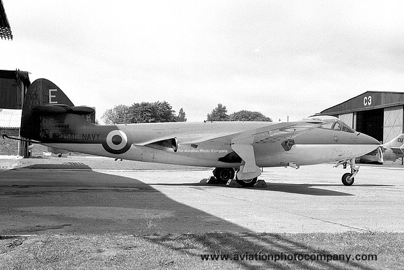 Royal Navy AES Arbroath Hawker Sea Hawk FB.3 WM939/E (1959)