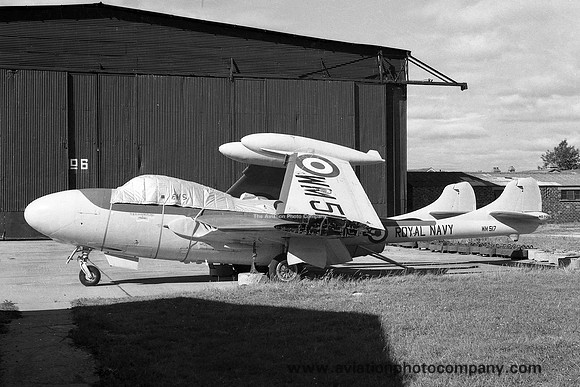 Royal Navy HMS Sanderling Station Flight De Havilland Sea Venom FAW.20 WM517 (1959)