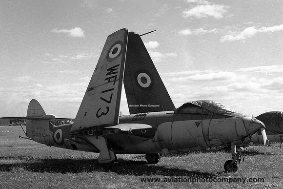Royal Navy AHU Abbostsinch Hawker Sea Hawk F.1 WF173 (1959)