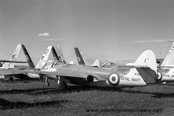 Royal Navy AHU Abbostsinch Hawker Sea Hawk F.2 WF264 (1959)
