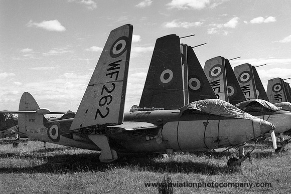 Royal Navy AHU Abbostsinch Hawker Sea Hawk F.2 WF262 (1959)