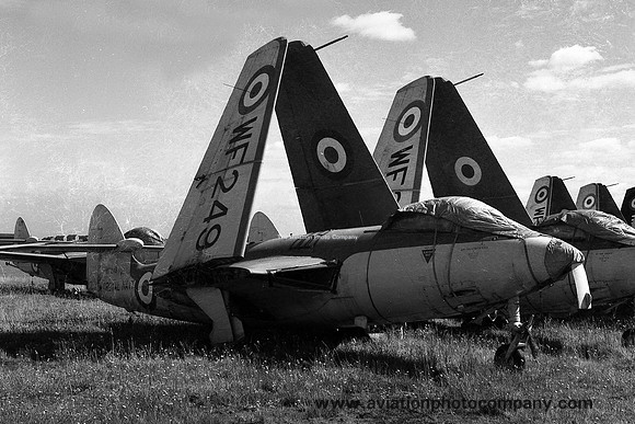 Royal Navy AHU Abbostsinch Hawker Sea Hawk F.2 WF249 (1959)