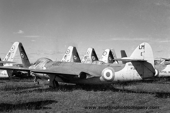 Royal Navy AHU Abbostsinch Hawker Sea Hawk F.2 WF269 (1959)