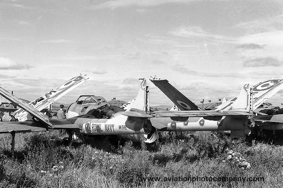 Royal Navy AHU Abbotsinch De Havilland Sea Venom FAW.20 WM548 (1959)