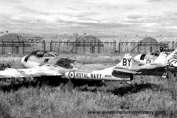 Royal Navy AHU Abbotsinch De Havilland Sea Venom FAW.20 WM501 (1959)