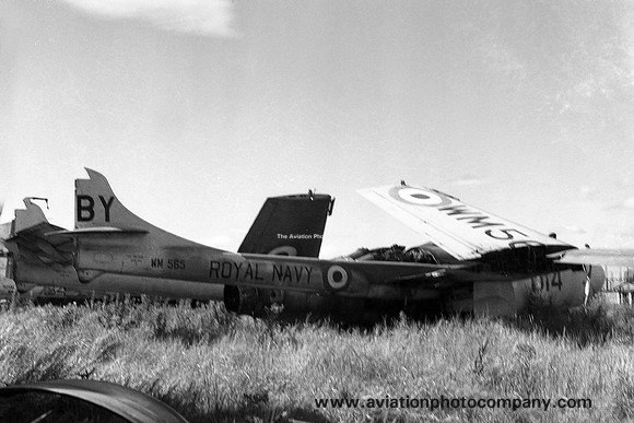 Royal Navy AHU Abbotsinch De Havilland Sea Venom FAW.20 WM565 (1959)