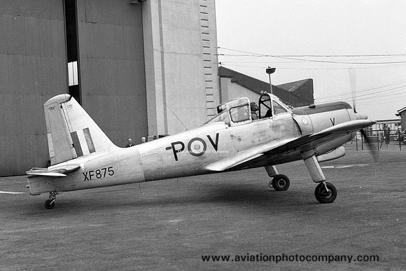 RAF 1 FTS Percival Provost T.1 XF875/P-V (1961)