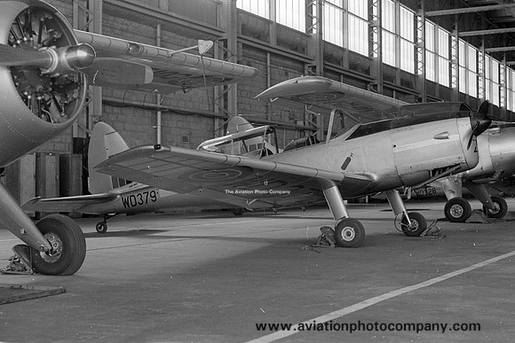Kenyan Air Force FTS DHC-1 Chipmunk T.10 WD379 (1967)