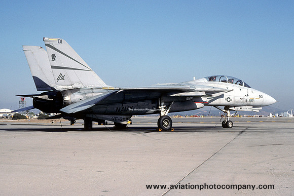 US Navy VF-302 F-14A Tomcat 158981/ND-201 (1991)