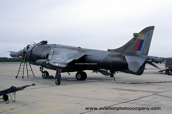 RAF 1 Squadron Hawker Siddeley Harrier GR.3 XZ132/09 (1985)