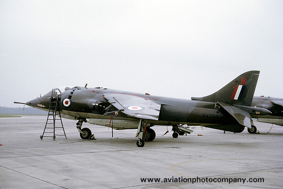 RAF 1 Squadron Hawker Siddeley Harrier GR.1 XV788/M (1971)