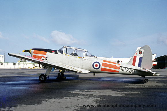 RAF 10 AEF DHC-1 Chipmunk T.10 WP789 (1973)