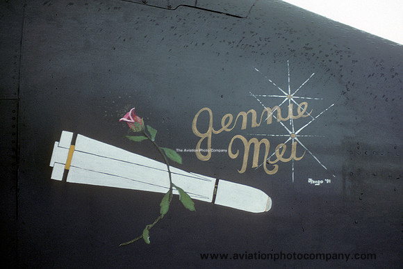 USAF 10 TFW A-10A Thunderbolt 80-0172 Gulf War mission marks (1991)