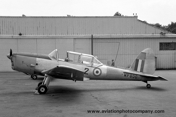 RAF 2 AEF DHC-1 Chipmunk T.10 WP800 (1959)