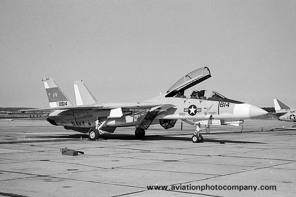 US Navy NATC Grumman F-14A Tomcat 158614 (1974)