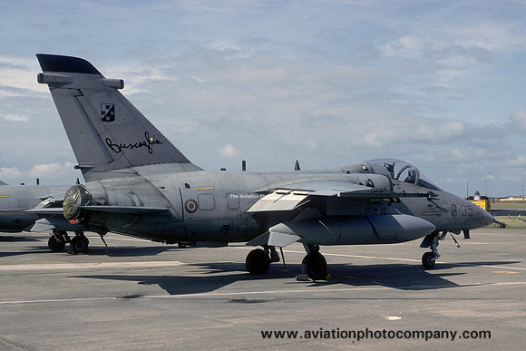 Italian Air Force 3 Stormo Aeritalia AMX MM7098/3-35 (1994)