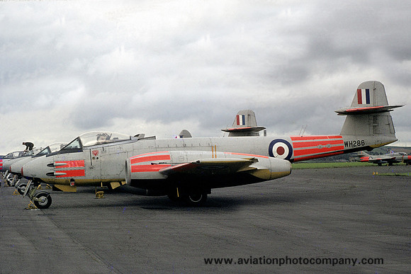 RAF 229 OCU Gloster Meteor F.8 WH286