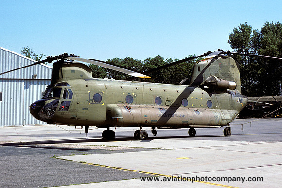 US Army 295th Aviation Company Vertol CH-47C Chinook 71-20954 (1977)
