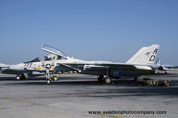 US Navy VF-101 Grumman F-14A Tomcat 161422/AD-177 (1987)