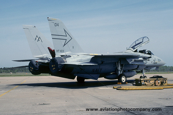 US Navy VF-103 Grumman F-14A Tomcat 163215/AA-204 (1991)