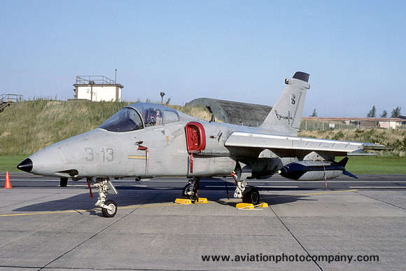 Italian Air Force 3 STormo Aeritalia AMX MM7125/3-13 (1994)