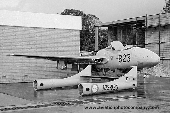 RAAF De Havilland Vampire T.35 A79-823