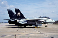 US Navy VX-9 Grumman F-14D Tomcat 164599/XF-254 (2002)