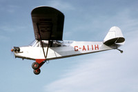 Piper L-4H Grasshopper G-AIIH (1975)