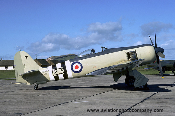 Fleet Air Arm Historic Flight Hawker Sea Fury FB.11 TF956 (1975)