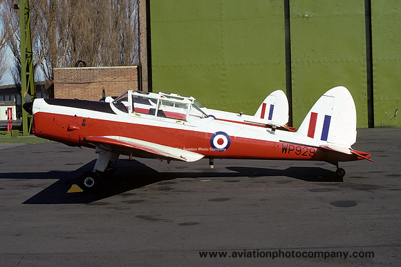 RAF 8 AEF DHC-1 Chipmunk T.10 WP929 (1976)