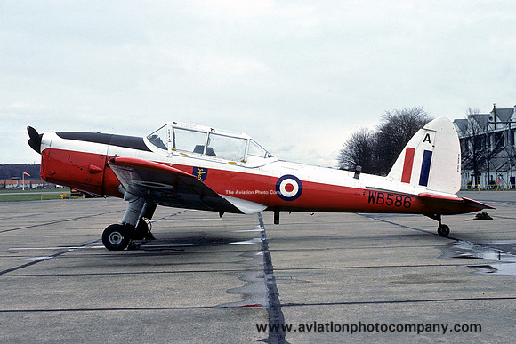 RAF 6 AEF DHC-1 Chipmunk T.10 WB586/A (1976)