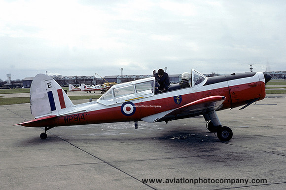 RAF 6 AEF DHC-1 Chipmunk T.10 WP914/E (1976)