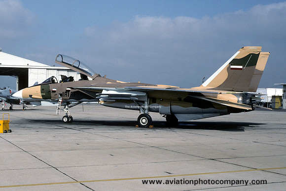US Navy NFWS Grumman F-14A Tomcat 159607 (1992)