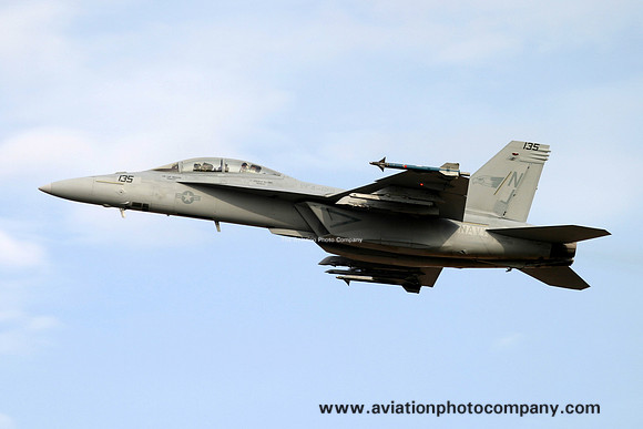 US Navy VFA-122 McDonnell Douglas F/A-18F Super Hornet 166790/NJ-135 at the Avalon Air Show (2009)