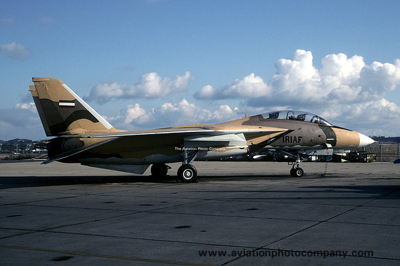 US Navy NFWS Grumman F-14A Tomcat 159607 (1993)