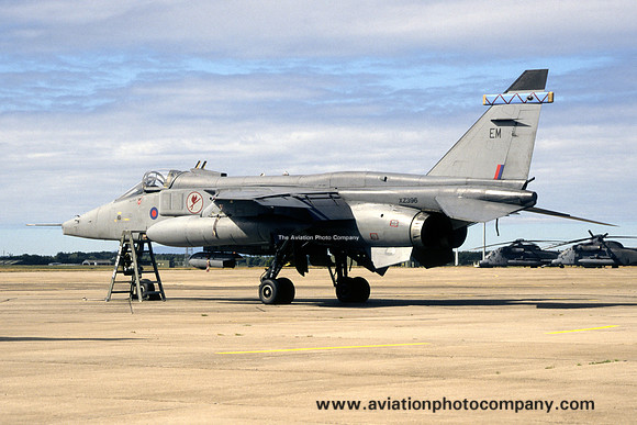 RAF 6 Squadron Sepecat Jaguar GR.3 XZ396/EM (2000)