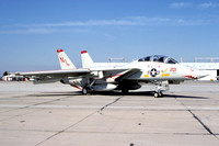 US Navy VF-111 Grumman F-14A Tomcat 160668/NL-201 (1981)